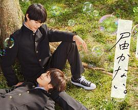 陈惠敏狂情海报剧照